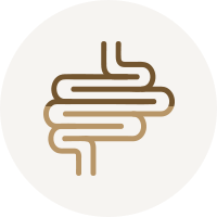 大腸カメラ検査