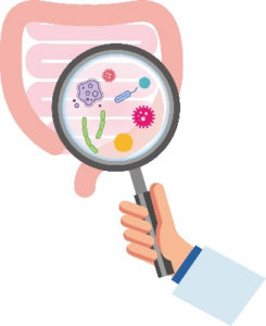 腸イラスト